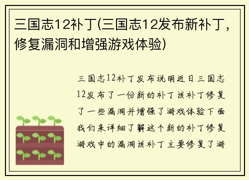 三国志12补丁(三国志12发布新补丁，修复漏洞和增强游戏体验)